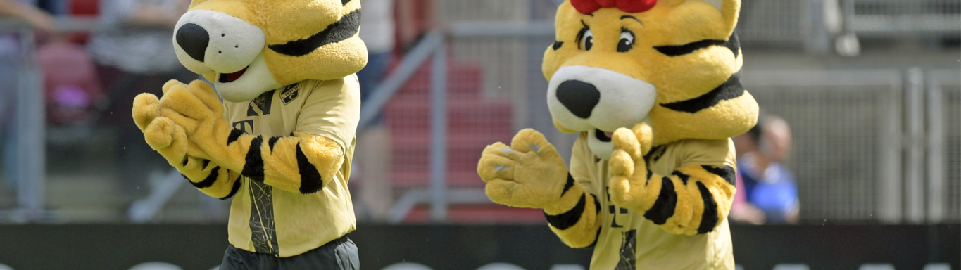 Fc utrecht junior tigers